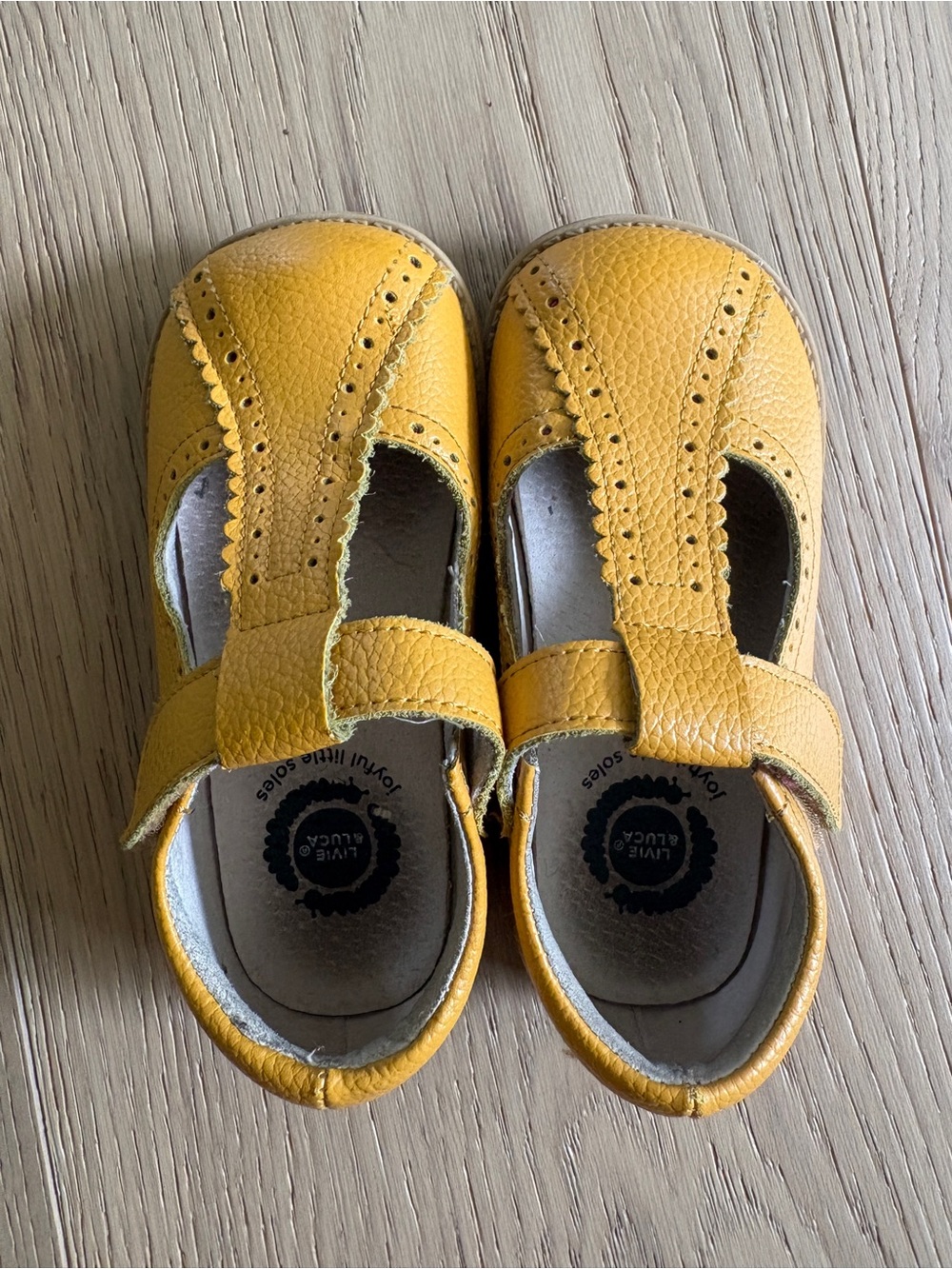 Livie and Luca Opry size 9